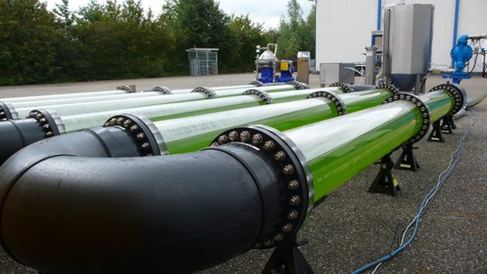 Algae demo system – live test operation Working algae demo test system – HDPE tubes in operation